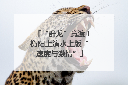 “群龙”竞渡！衡阳上演水上版“速度与激情”